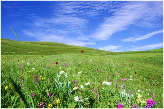 清爽一夏两日游蔚县空中草原小五台8226金河景区