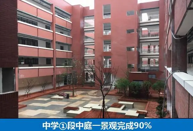 九龙湖新城 育新小学 万达城