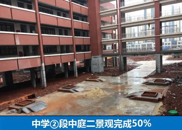 九龙湖新城 育新小学 万达城