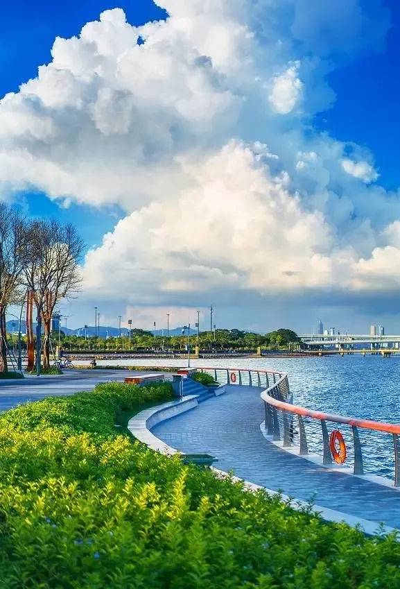 深圳有一个公园竟然是免费停车