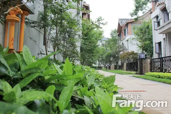 "醉美龙玺台"摄影大赛浓情启幕 万元大奖等你来_房产资讯-眉山房天下