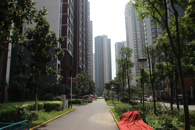 福星城小区环境