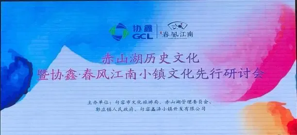 赤山湖历史文化暨协鑫.春风江南小镇文化先行研讨会 圆满落幕
