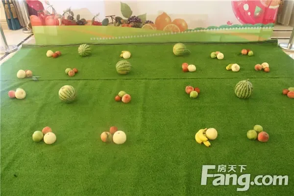 蓝天卢浮9号缤纷水果节欢乐套圈圈圆满结束