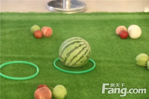 水果套圈,bulingbuling的大西瓜这位先生为大家完整的演示了套西瓜三