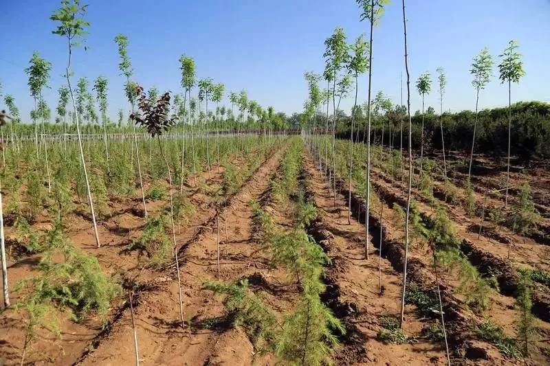 土地常识：弄清这6个问题 教你解决土地流转的纠纷