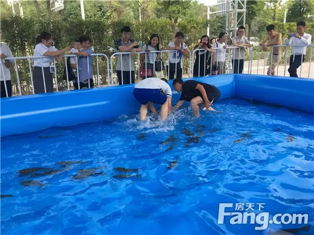 清凉一夏 "鱼"乐无穷 林达大院捕鱼大赛29日清凉开启