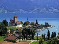 杭州杭大江东储出(2017)3号地块公开挂牌出让公告