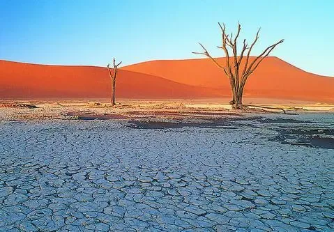 土地知识知多少：土地转让办理方法及流程有哪些？