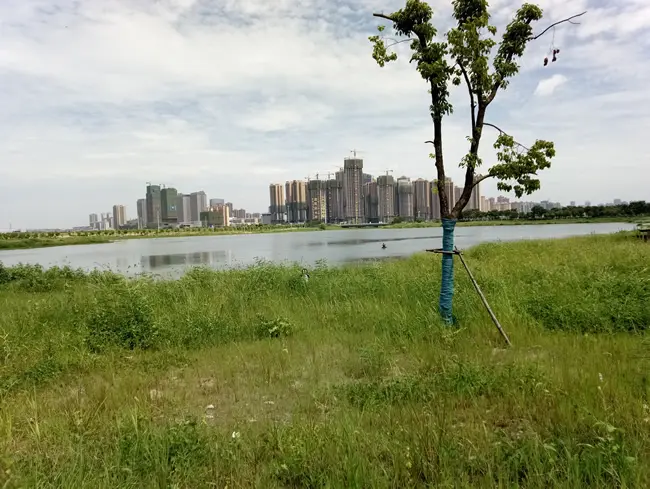 方岛公园.jpg
