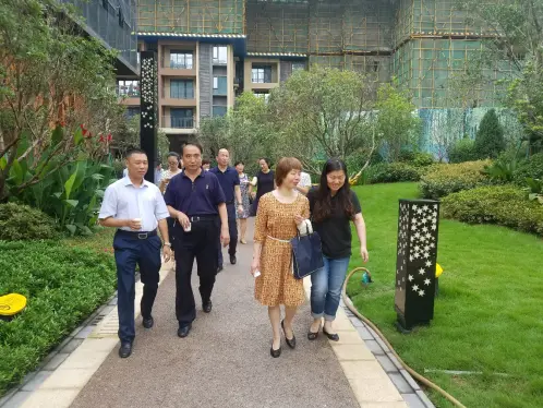 青山区政协及区政府领导视察海伦国际项目