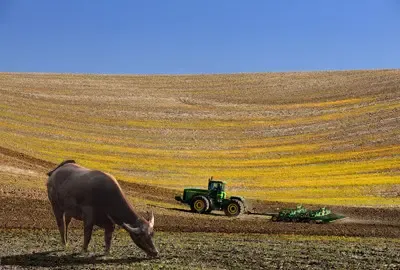 土地流转暗藏玄机！ 这几点不注意小心流转费被坑！