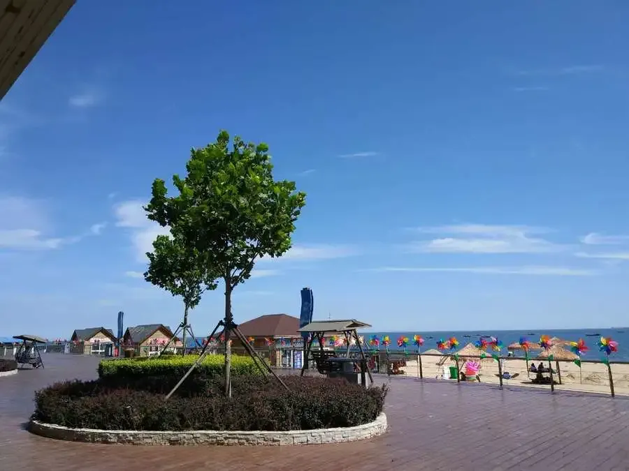 恒泰悦季业主东戴河一日游 感恩之旅完美谢幕