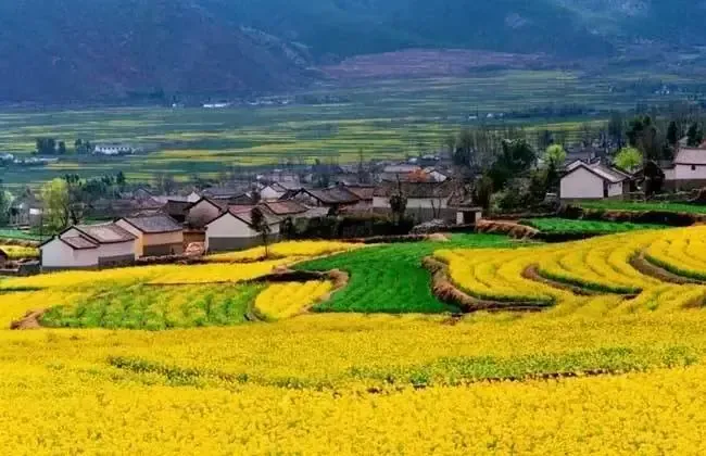 土地知识：想拿土地流转补贴 你需要具备这些条件