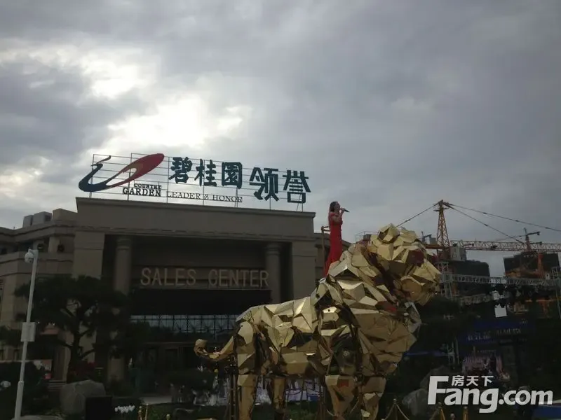 碧桂园领誉主题示范区华丽绽放!