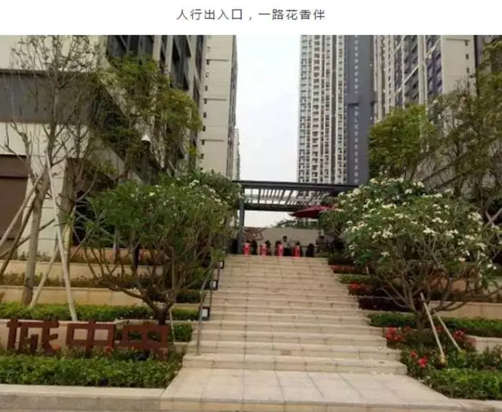 龙城中央将现"特色花海,花漾街区美景成真!