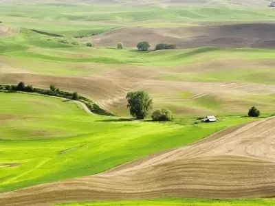 土地小常识：10句话教你搞定土地流转 减少土地纠纷