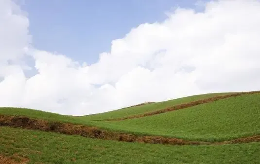 建设用地使用权转让的适用范围和所需资料有哪些？
