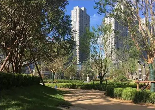 品质共鉴·让爱回家业主及媒体代表品鉴诚园！