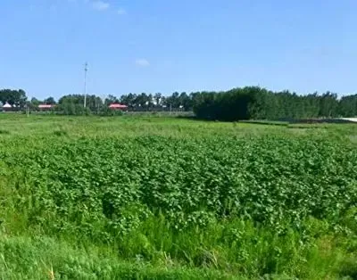 土地小常识：看过来！地产企业拿地的十六种模式！