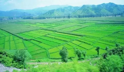 土地流转中需注意的问题：这样做 所有人都能受益！