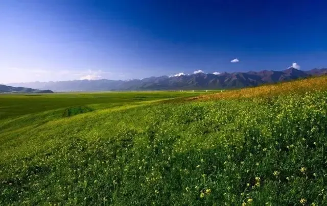 土地常识：土地流转合同怎么签才对？小心这些坑！