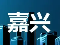 浙江嘉兴市海盐县首宗土地使用权网上挂牌交易成功