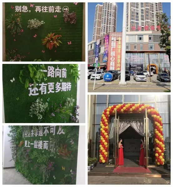 艺术与匠心的盛宴东星熙城三组团样板房开放首日人气火爆