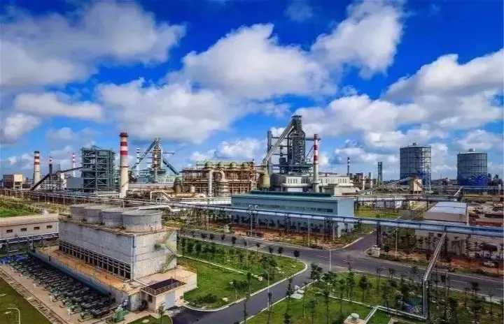 如何发展邮轮经济……区委书记"剧透"啦!