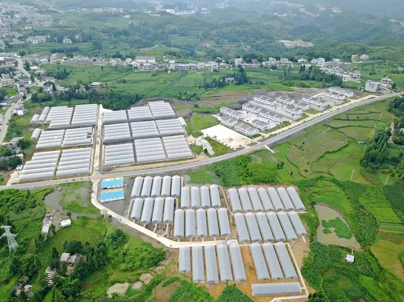 恒大授人以渔精准扶贫nbsp大方贫困户搭上脱贫快车