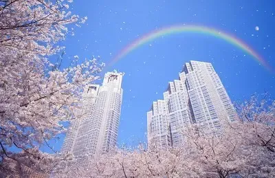 苍南水产城扩建项目土地成功出让 两期总价2.56亿元