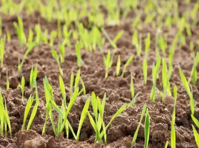 土地常识：土地转让需办理的流程及转让方法有哪些