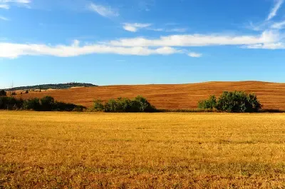 "三块地"改革试点将再添新措 33地区承担多项任务