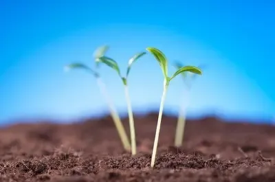 土地常识：用土地承包经营权抵押贷款应注意哪些？