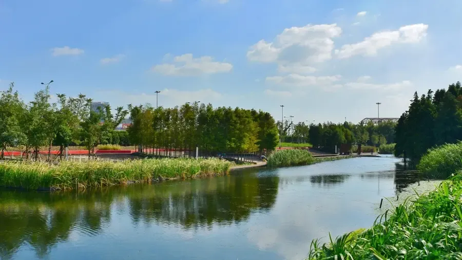 城市绿肺就在泰禾家门口佛山新城将造40万㎡东平湖