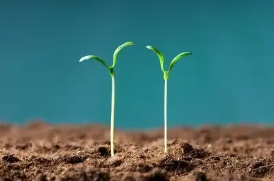 中农办主任韩俊：农村宅基地严格实行土地用途管制