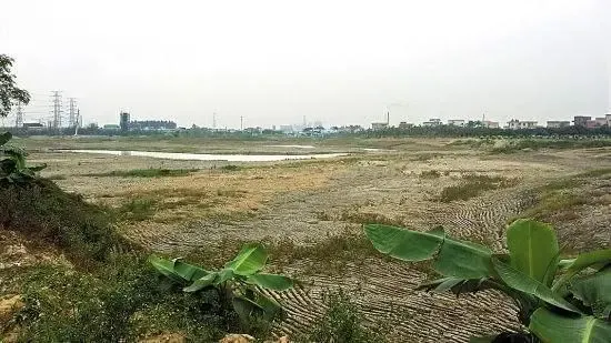 宁波国土局启动中心城区“批而未建”土地整改行动