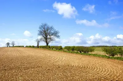 土地小常识：农村土地流转 这三个问题不得不注意