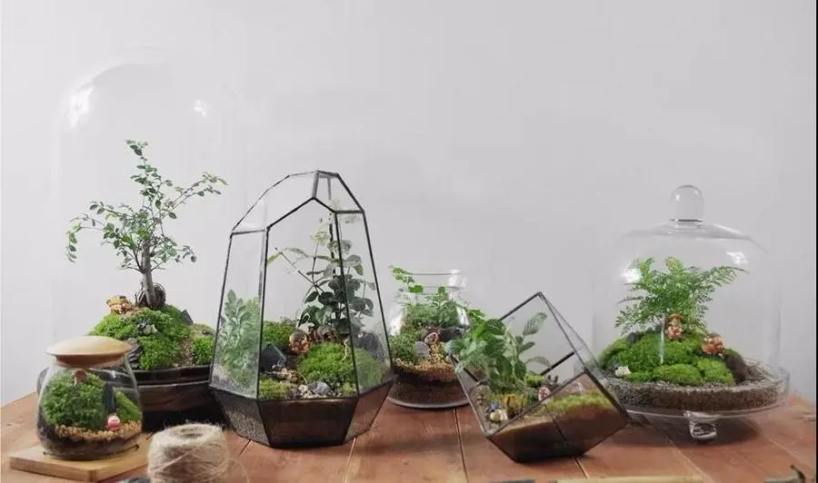 金东海·领荟湾三重好礼