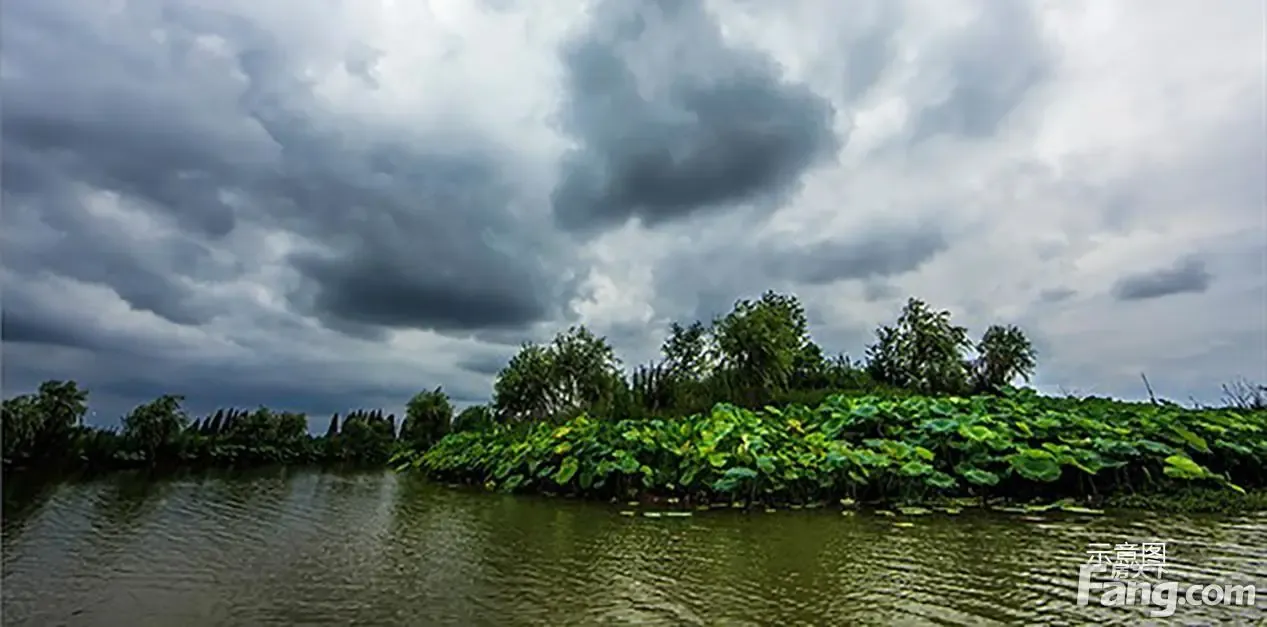 牵头赋能发展,助力东城生态新区腾飞-孝感新房网-房天下