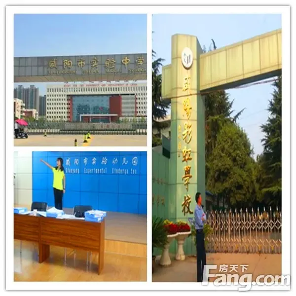 实验幼儿园,彩虹幼儿园;中小学:中华路小学,金山小学,金山中学,秦宝