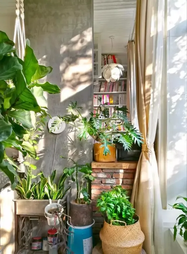 在阳台上做绿植墙怎样更美观?