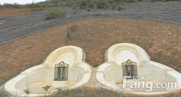 平原十不葬:一不葬粗顽怪石,二不藏急水争流,三不葬沟壕绝境,四不葬