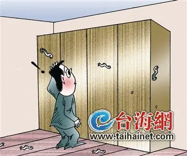 房间装修后虫子不断爬出来 业主让装修公司赔偿