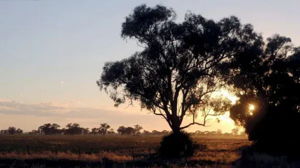 澳洲首府城市压力山大 偏远地区房地产投资或成主流