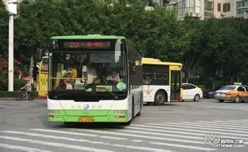 五条公交线路将绕行截短 新临时高峰专线将开通