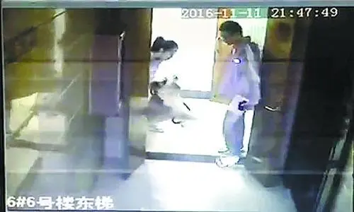 小区内大狗猛扑过来 受惊吓业主表示将诉诸法律