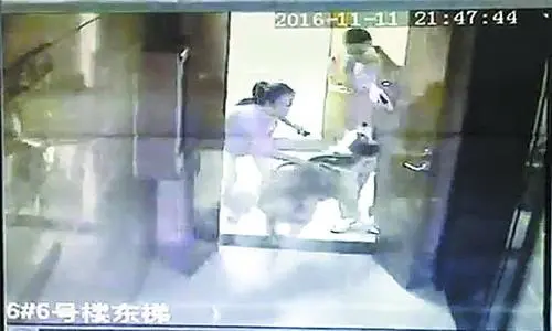 小区内大狗猛扑过来 受惊吓业主表示将诉诸法律