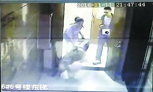 小区内大狗猛扑过来 受惊吓业主表示将诉诸法律