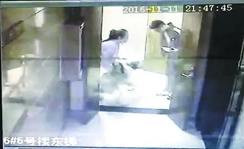 小区内大狗猛扑过来 受惊吓业主表示将诉诸法律